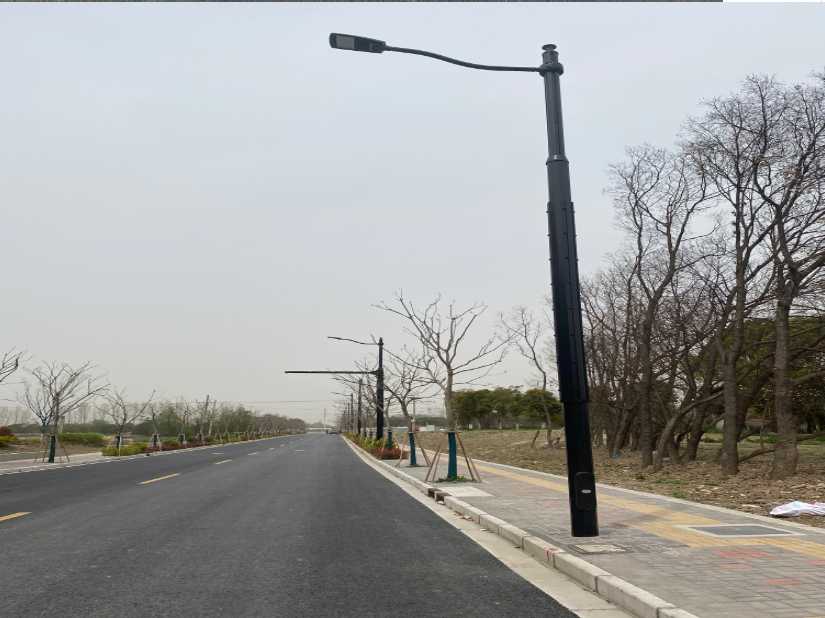 临翔区上海综合杆 太阳能路灯工程